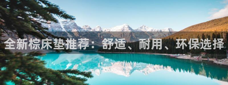 杏宇代理连接：全新棕床垫推荐：舒适、耐用、环保选择