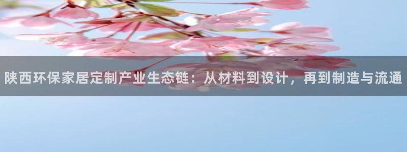 杏宇官网app：陕西环保家居定制产业生态链：从材料到设计，再
