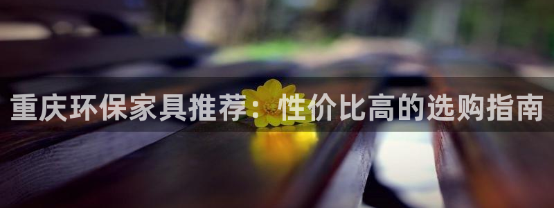 杏宇平台登录网站：重庆环保家具推荐：性价比高的选购指南
