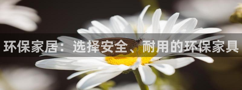 杏宇官方注册中心：环保家居：选择安全、耐用的环保家具