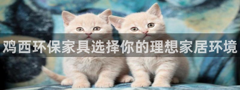 杏宇平台官方网站下载