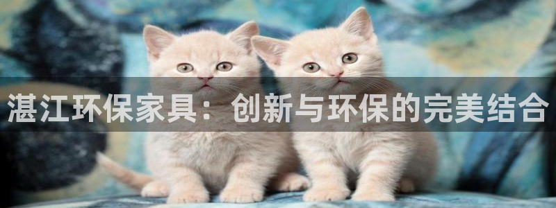 杏宇主管qq：湛江环保家具：创新与环保的完美结合