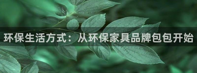 杏宇平台分红：环保生活方式：从环保家具品牌包包开始