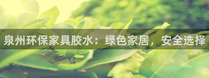 杏宇平台怎样：泉州环保家具胶水：绿色家居，安全选择