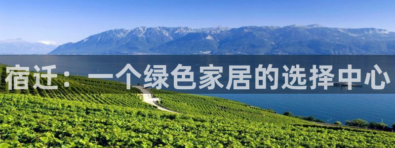 杏宇平台首页