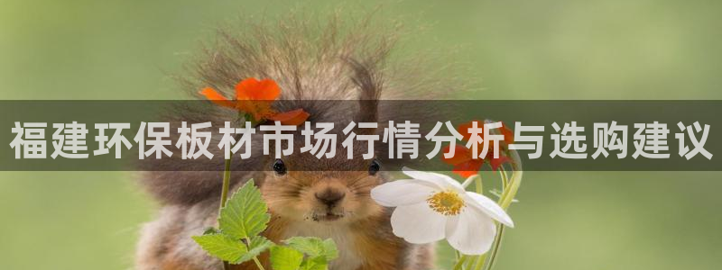 杏宇注册登录：福建环保板材市场行情分析与选购建议