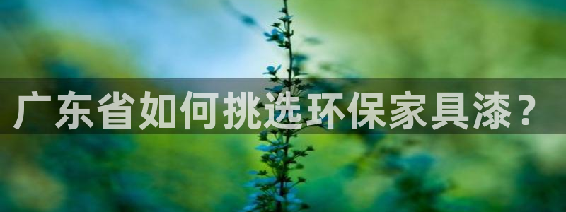 杏宇平台网站是什么