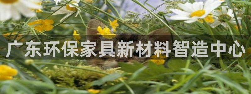 杏宇平台没有了：广东环保家具新材料智造中心