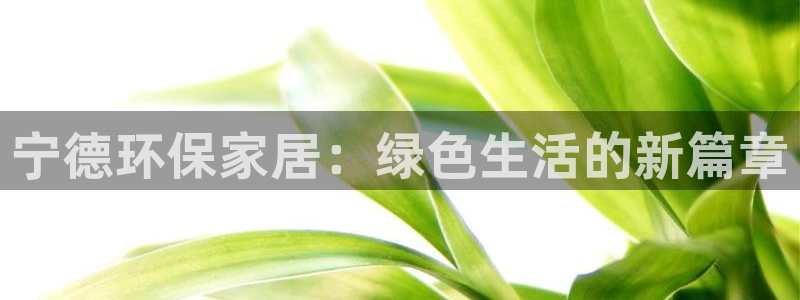 杏宇平台专用通道：宁德环保家居：绿色生活的新篇章