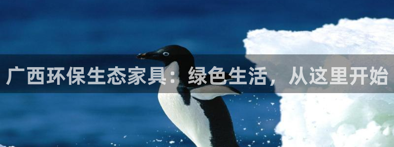 杏宇线路测速登录中心：广西环保生态家具：绿色生活，从这里开始