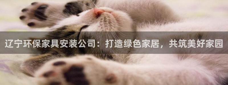 杏宇app怎样申请